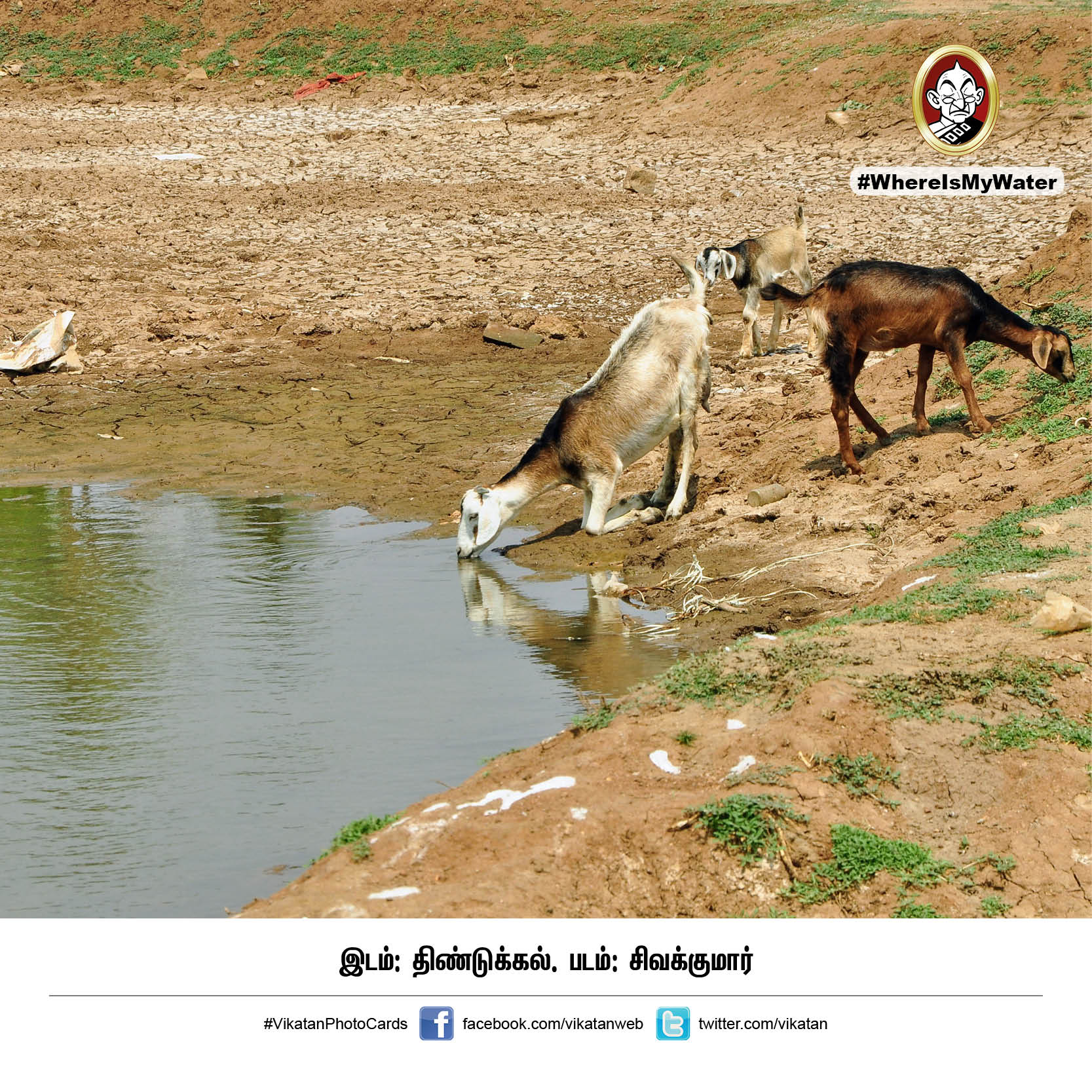 தண்ணியில்லா காடு... அதுதான் இப்போ தமிழ்நாடு! #VikatanPhotoCards தண்ணியில்லா காடு... அதுதான் இப்போ தமிழ்நாடு! #VikatanPhotoCards