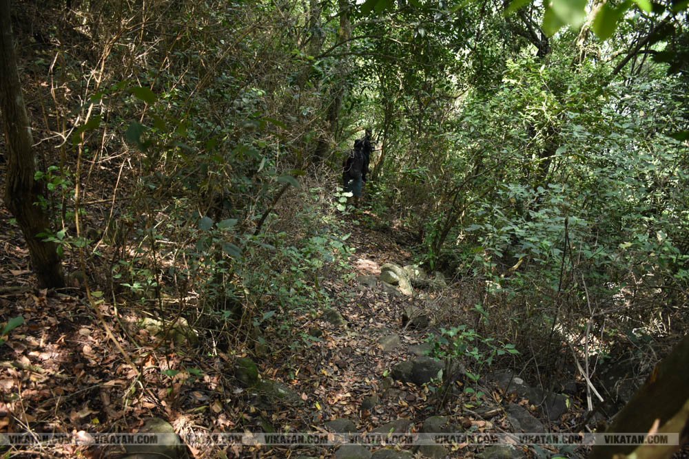 நீலகிரியில் 5000 ஆண்டுகள் பழைமையான பாறை ஓவியங்கள்! - முற்றிலும் அழிவதற்கு முன்பாக இதோ ஒரு புகைப்படத் தொகுப்பு நீலகிரியில் 5000 ஆண்டுகள் பழைமையான பாறை ஓவியங்கள்! - முற்றிலும் அழிவதற்கு முன்பாக இதோ ஒரு புகைப்படத் தொகுப்பு