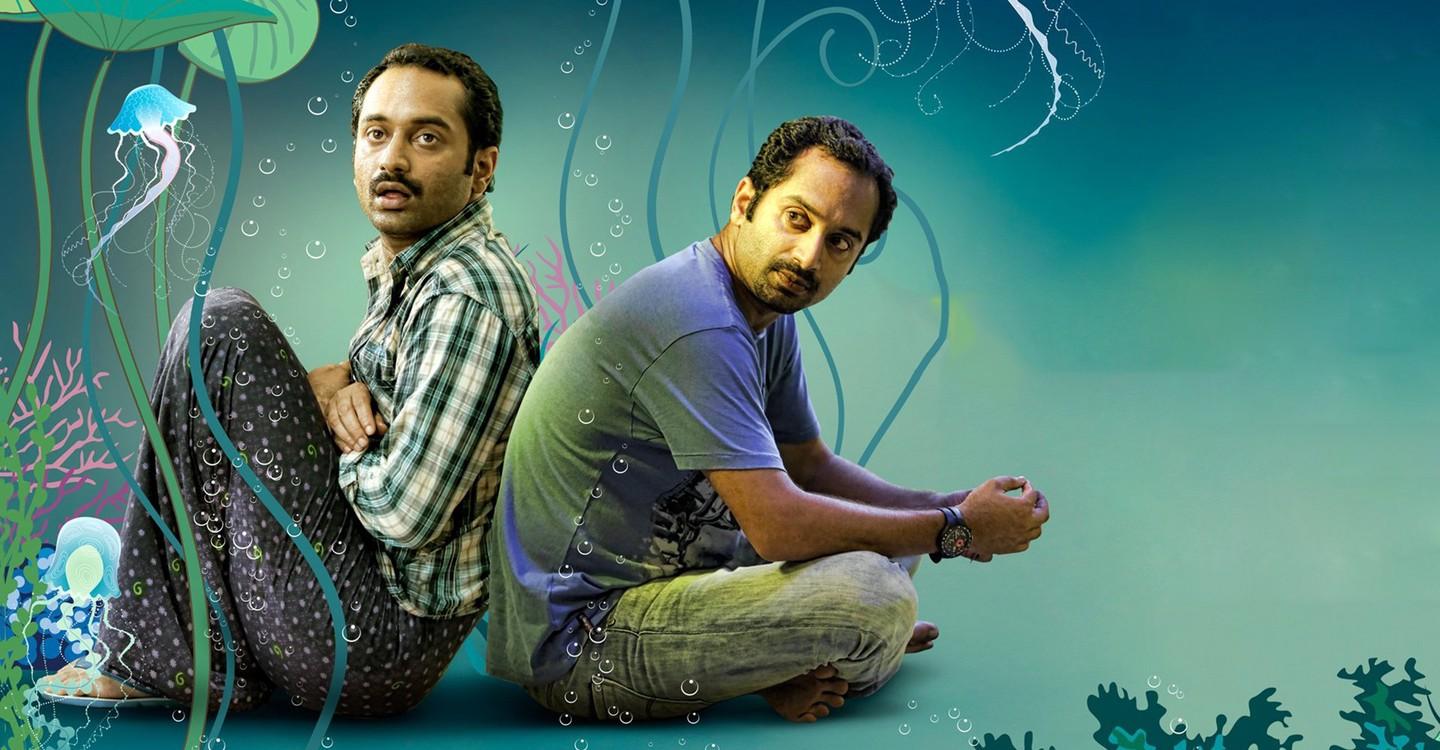 நத்தோலி ஒரு செறிய மீனல்லா