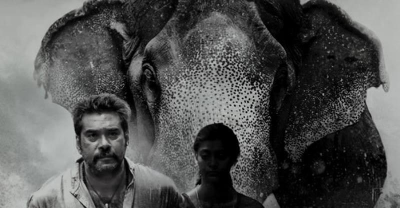 மலையாள கிளாசிக் பகுதி 19