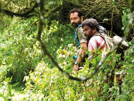 கார்பன்