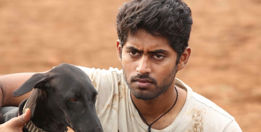 à®ªà®°à®¿à®¯à¯à®±à¯à®®à¯ à®ªà¯à®°à¯à®®à®¾à®³à¯à®à®³à¯ à®à®¾à®°à¯à®ªà®¾à® à®¸à¯à®ªà¯à®·à®²à¯ à®®à¯à®¤à¯à®¤à®à¯à®à®³à¯ à®®à®¾à®°à®¿ - `à®ªà®°à®¿à®¯à¯à®±à¯à®®à¯ à®ªà¯à®°à¯à®®à®¾à®³à¯' à®µà®¿à®®à®°à¯à®à®©à®®à¯