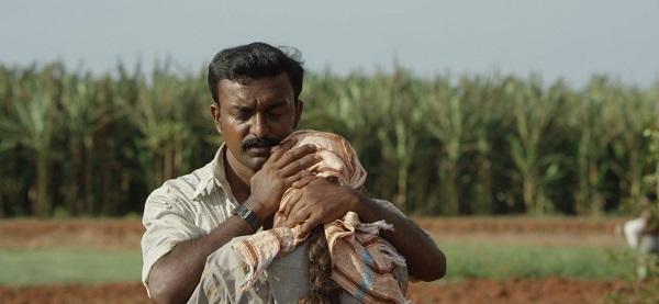 சினம் கொள்