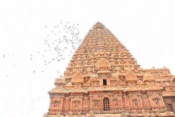 அழகிய தோற்றம்