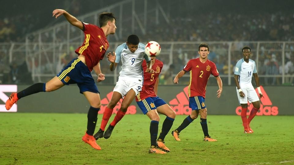 ப்ரூஸ்டர்