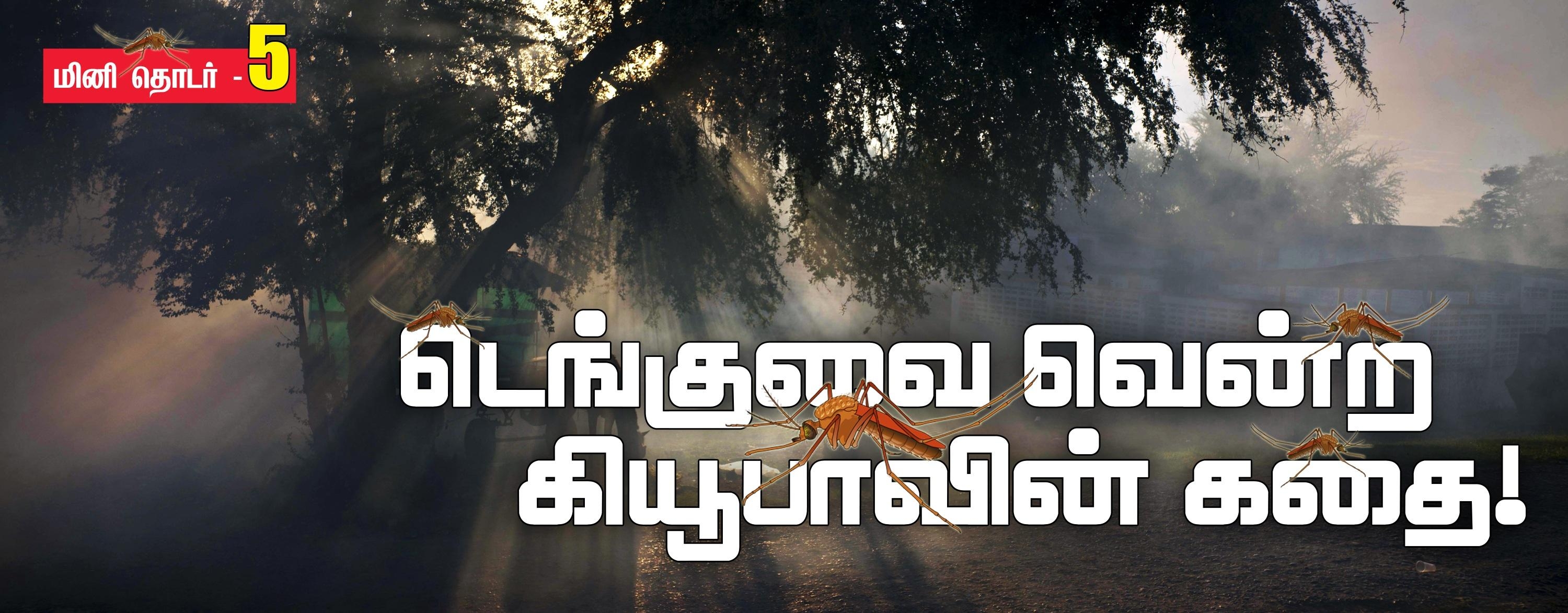 கியூபா டெங்கு