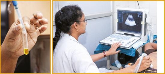 பரிசோதனைகள்