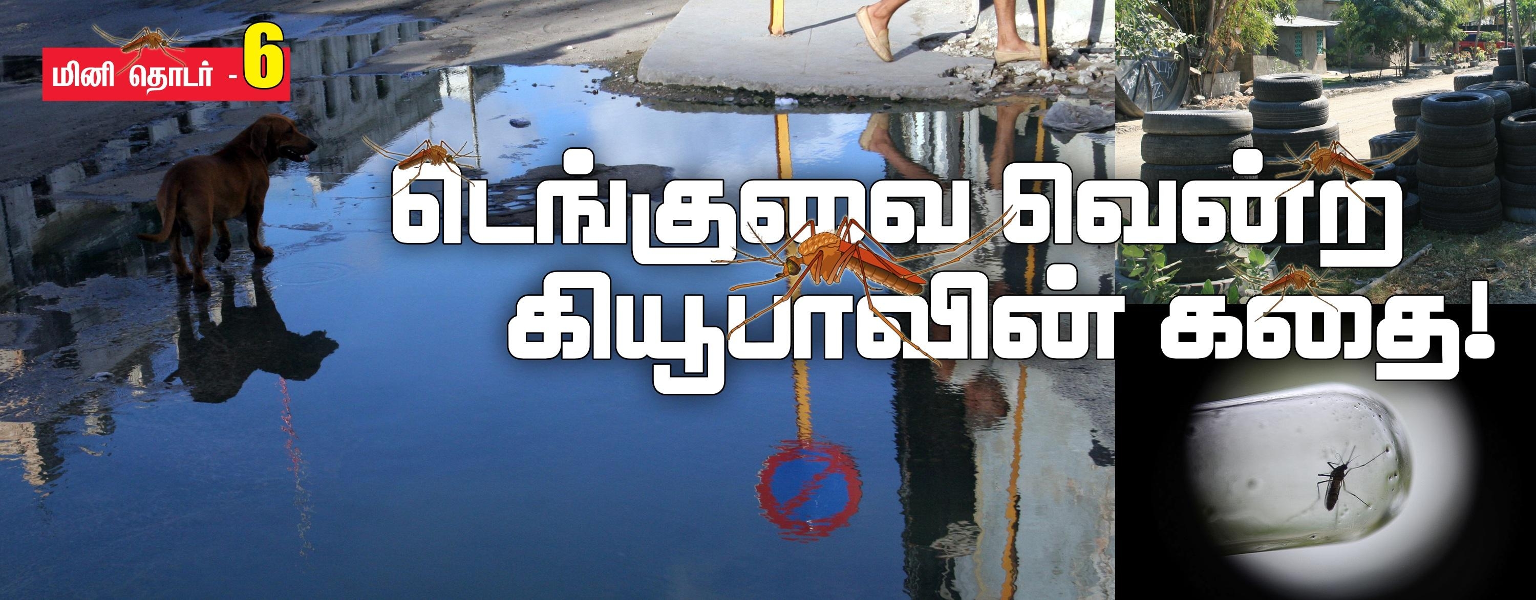 கியூபா டெங்கு