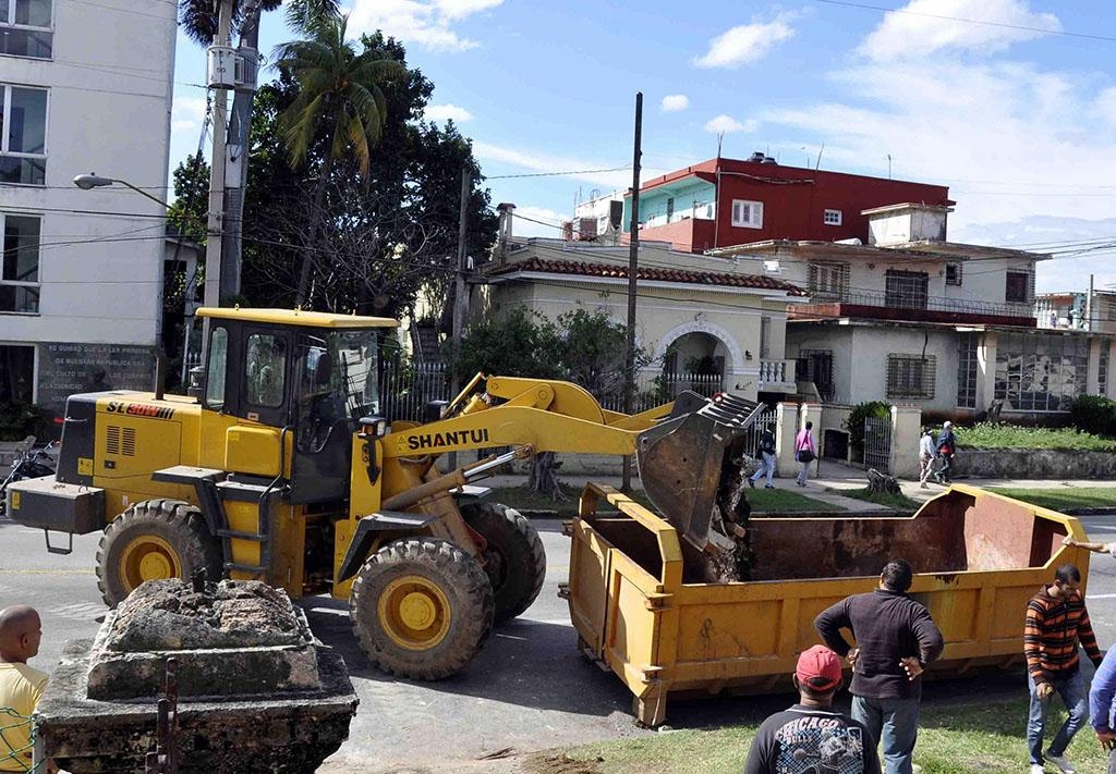 கியூபா டெங்கு 8