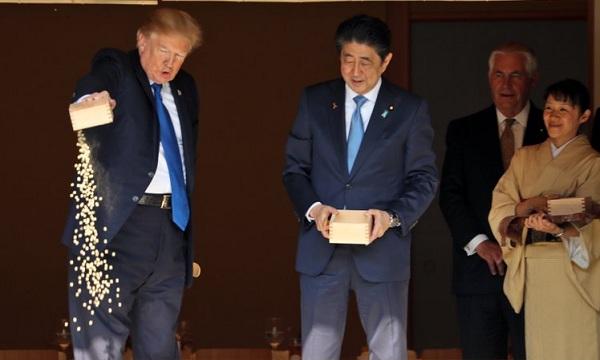 ட்ரம்ப்