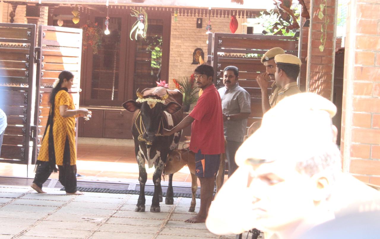 கோ பூசையில் தினகரன்