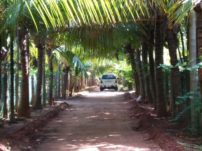 புதுச்சேரி பண்ணை வீடு