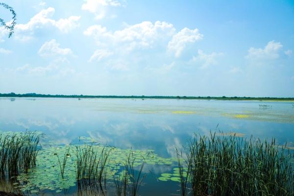 கிளியூர்