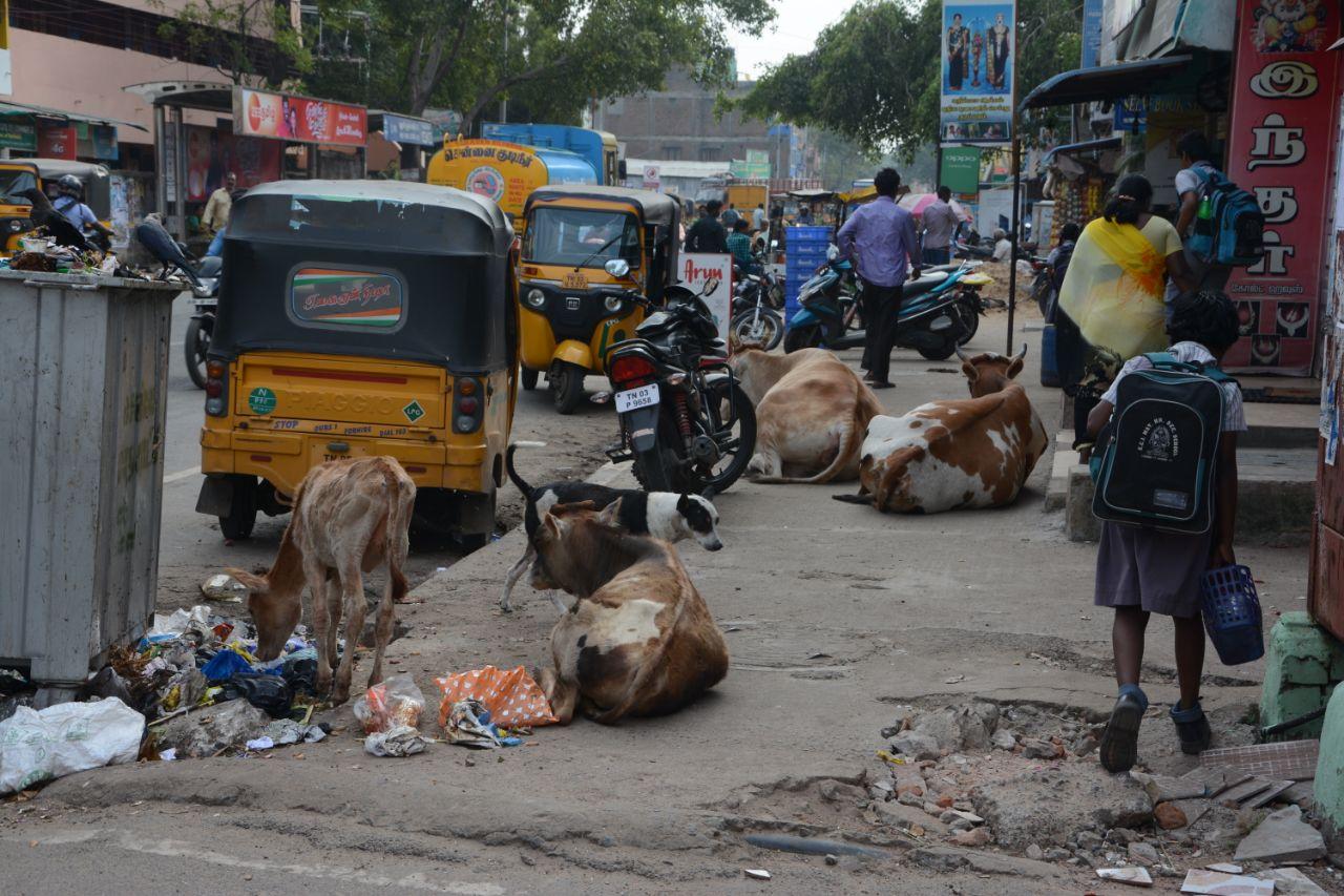ஆர்.கே.நகர்