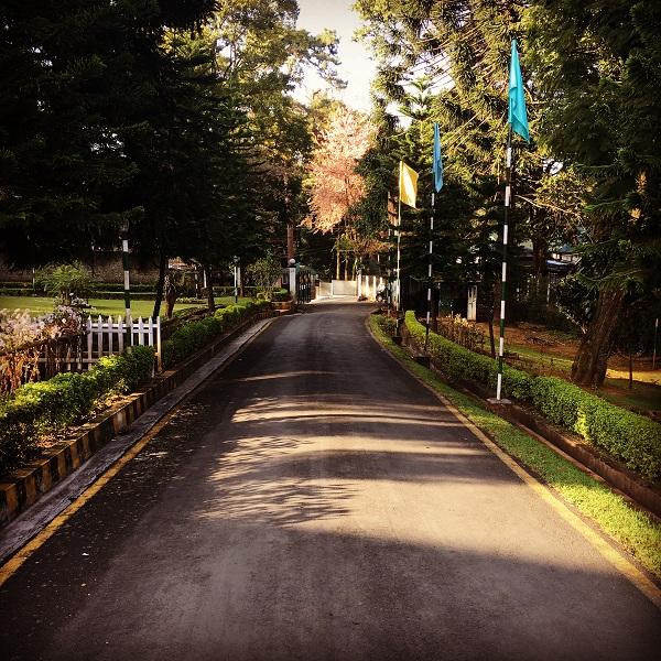 ஹோட்டல் பைன்வுட்