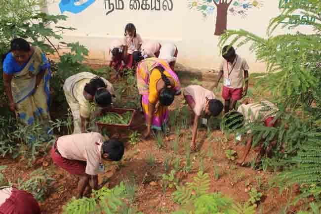 இயற்கை விவசாயம்