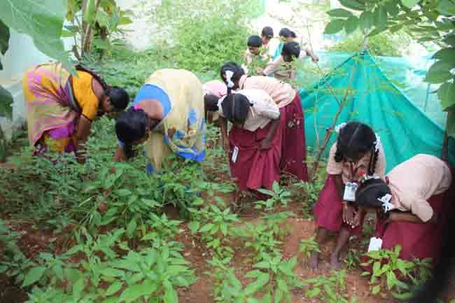 இயற்கை விவசாயம்