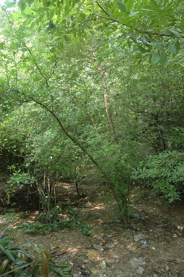 கடவுளைத் தேடி