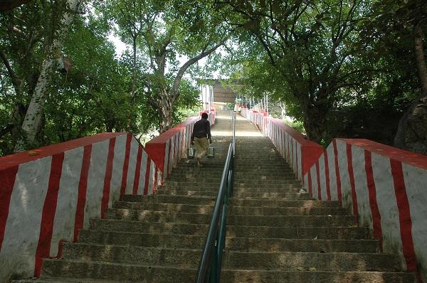 பரவசப் பயணம்