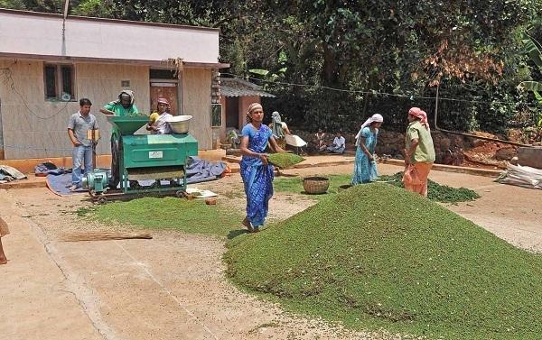 கொல்லிமலை