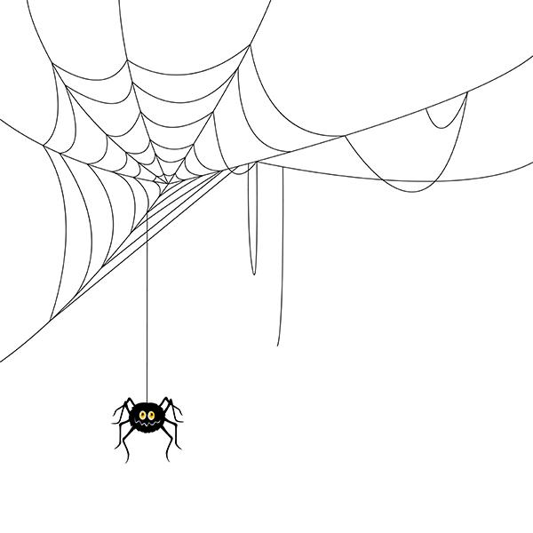 சிலந்தி வலை