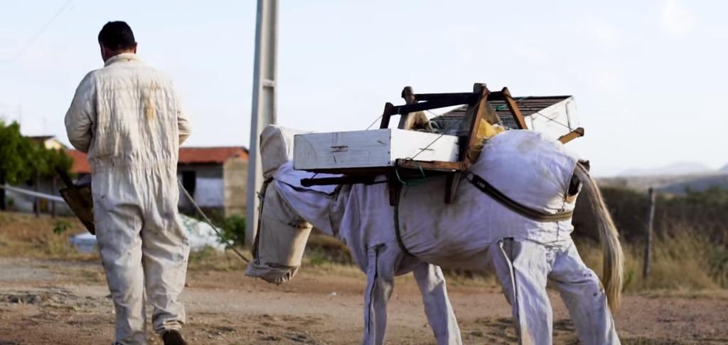 BEEKEEPING DONKEY