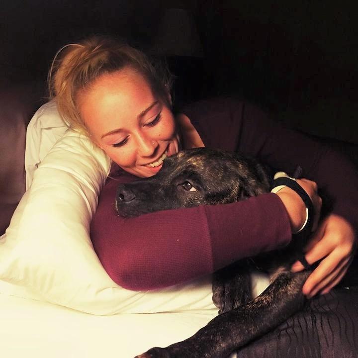 பிட்புல்