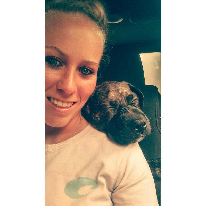 பிட்புல்