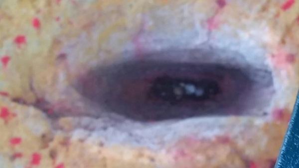 குமரனின் காலடி