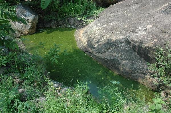 ஞானச் சுனை