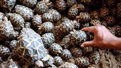 கடத்தல்