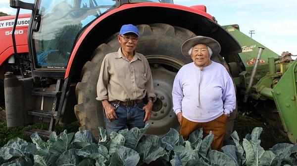 நியூசிலாந்து மண் வளம் காத்த சீனத் தம்பதி