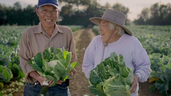 நியூசிலாந்து மண் வளம் காத்த சீனத் தம்பதி