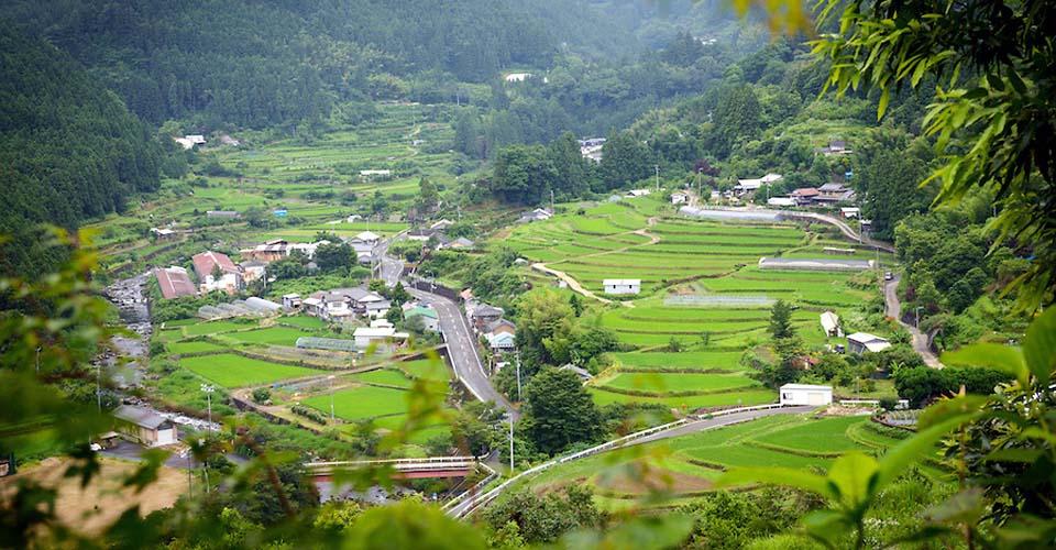 ஜீரோ வேஸ்ட் கமிகட்ஸு கிராமம்