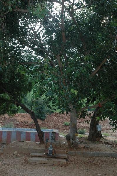 ஜம்புகேஸ்வரர்