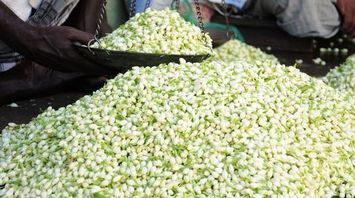 மதுரை மல்லி மதுரை மல்லி