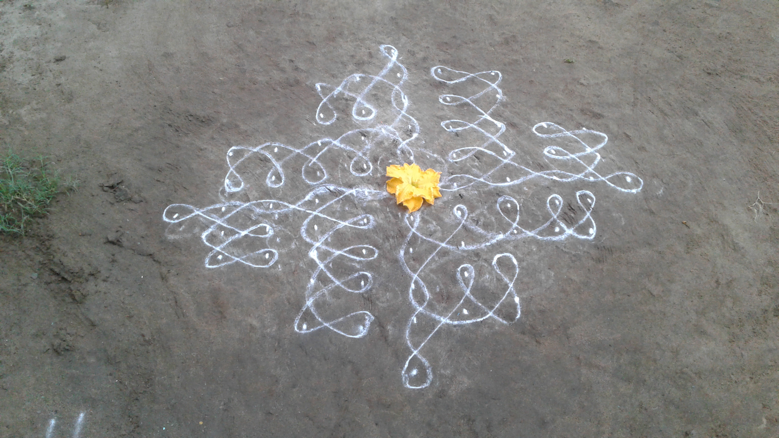 கோலத்தின் நடுவே பூசணிப் பூ