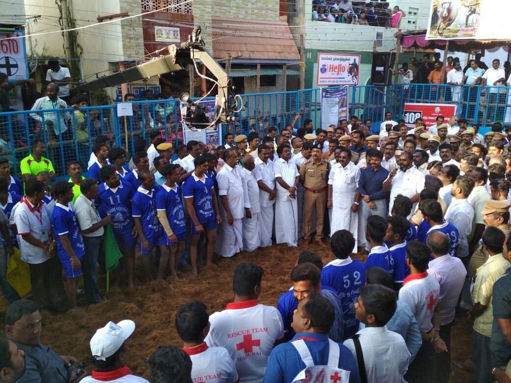 ஜல்லிக்கட்டு