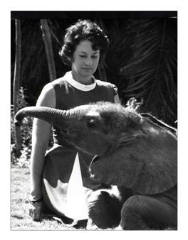 அன்பாக கவனித்துக் கொள்ளும் ஷெல்ட்ரிக்