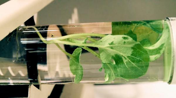 நானோதொழில்நுட்பம்