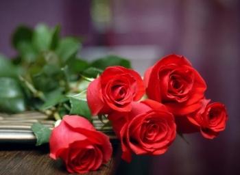 பூங்கொத்து