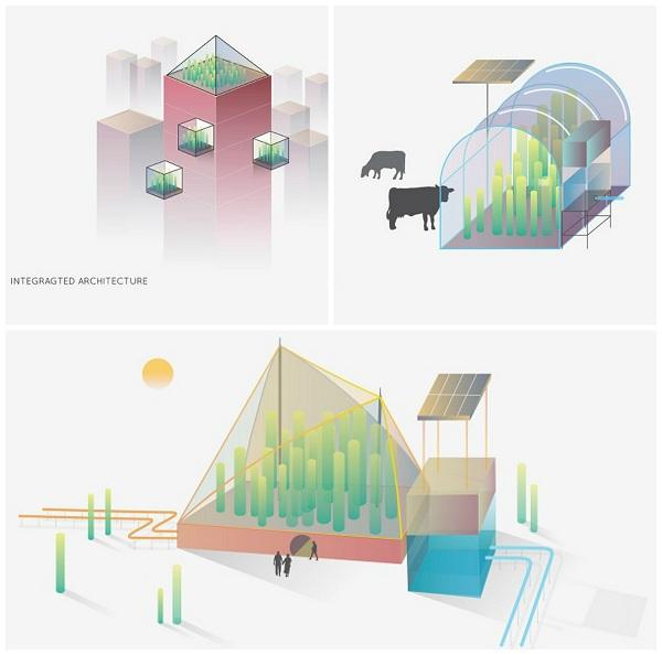 பெரிய அளவிலான திட்டம்