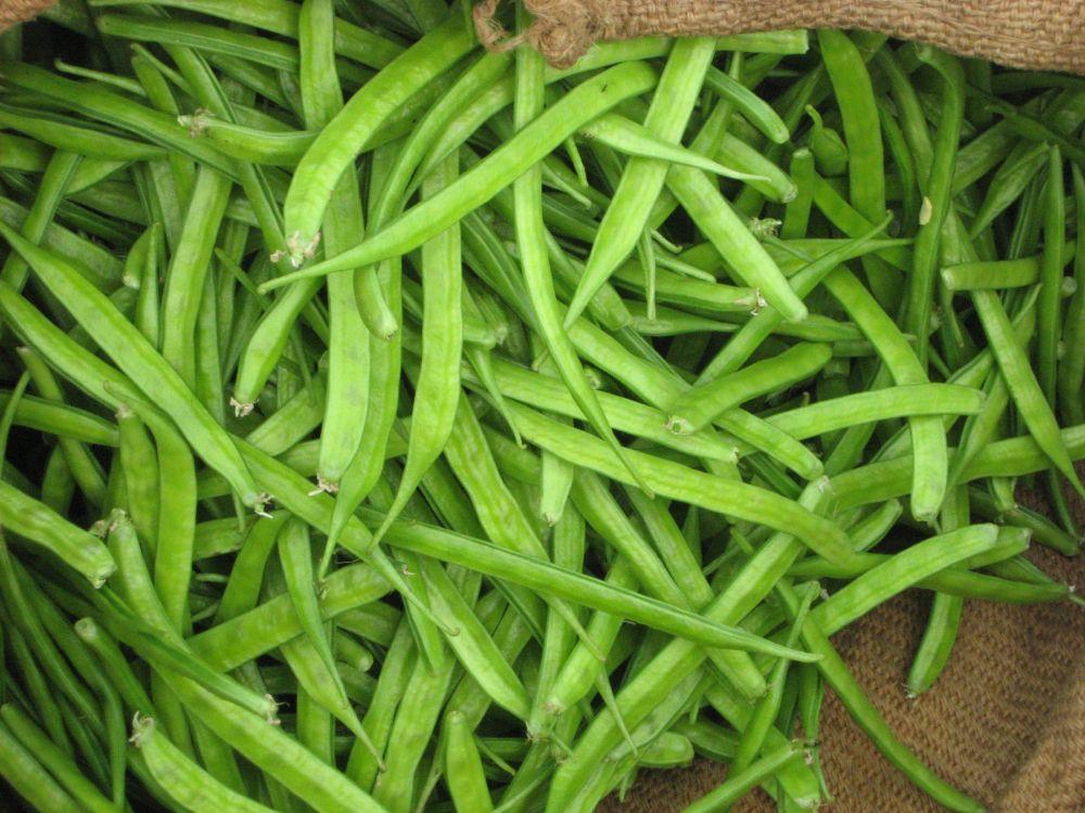 கொத்தவரை (சீனி அவரைக்காய்)