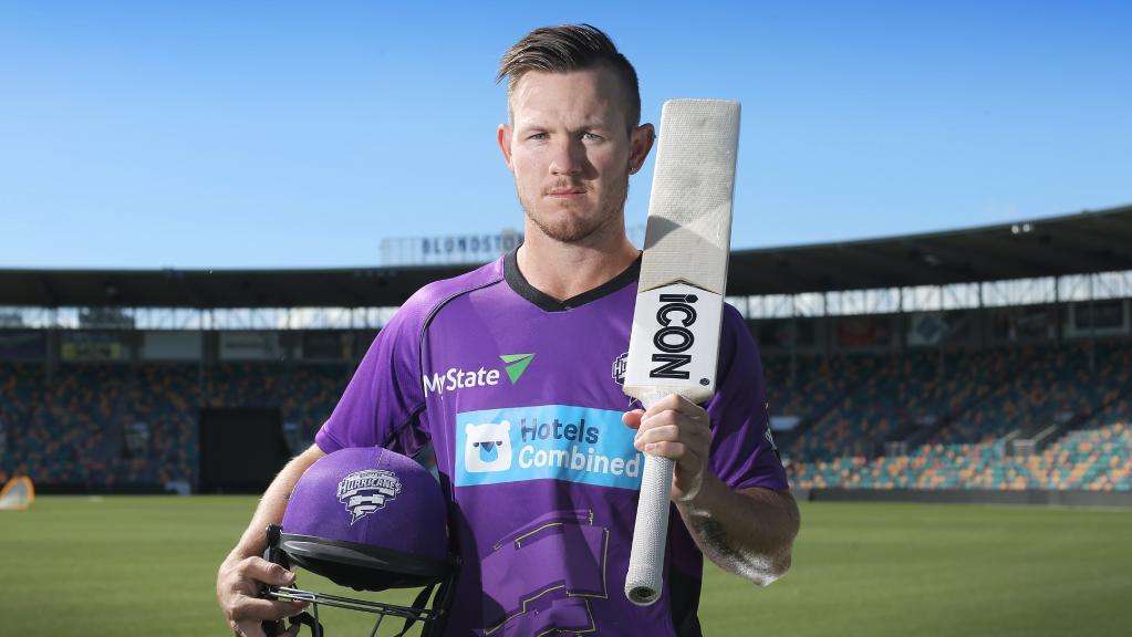 டார்சி ஷார்ட்