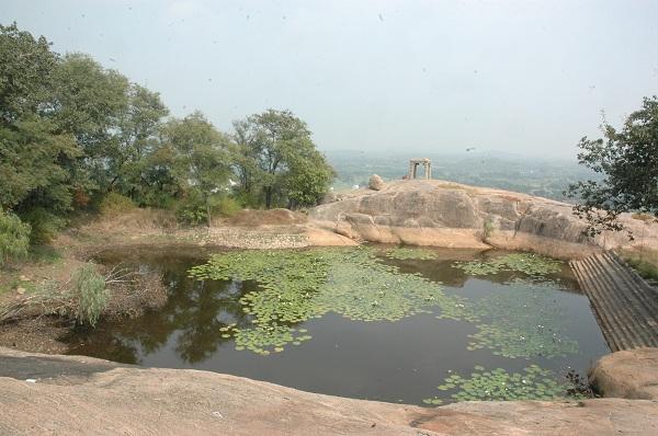 மலை சுனைகள்