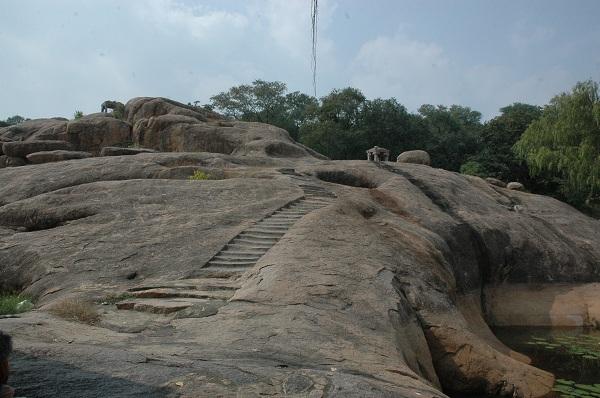 வள்ளிமலை யாத்திரை