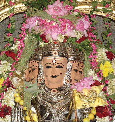 வள்ளிமலை