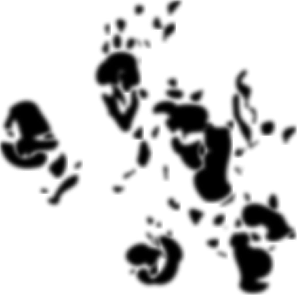 F. D. C. Willard/Chester பூனையின் கையொப்பம்