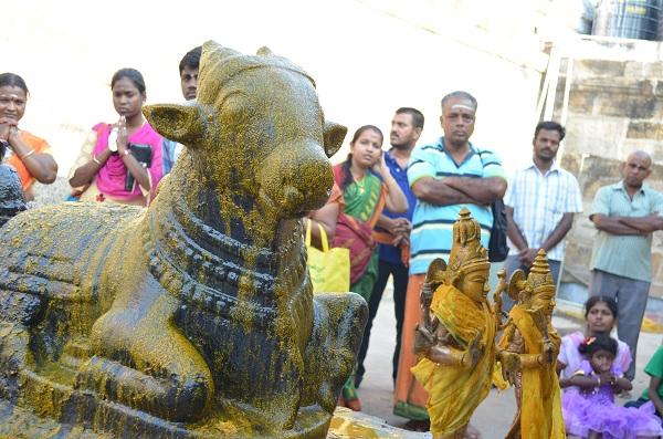 நந்தி பெருமானுக்கு அபிஷேகம்