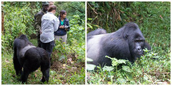 போட்டோகிராபி